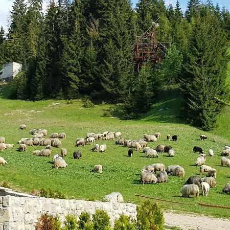Enjoy The Silence Holiday Home Vlašić Exteriér fotografie